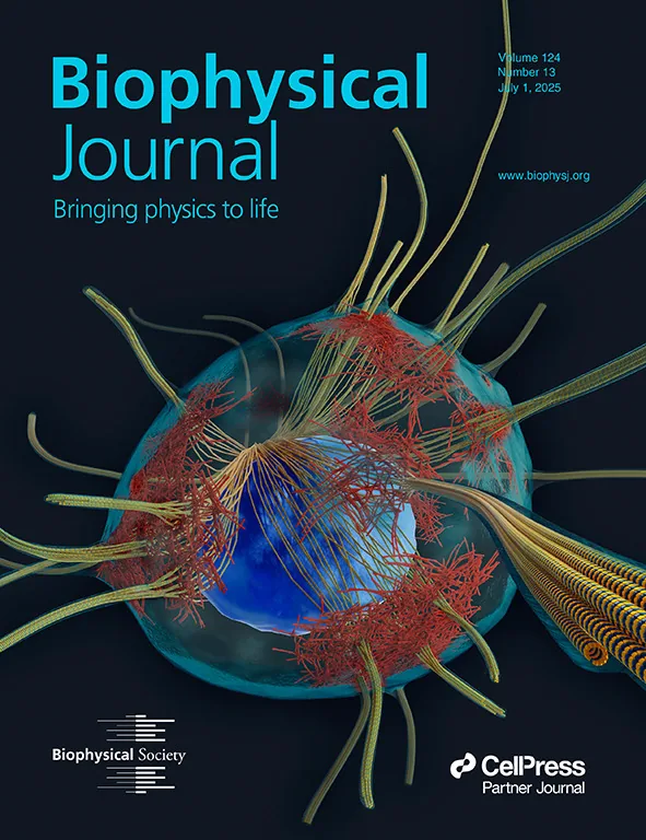 Biophysical Journal cover